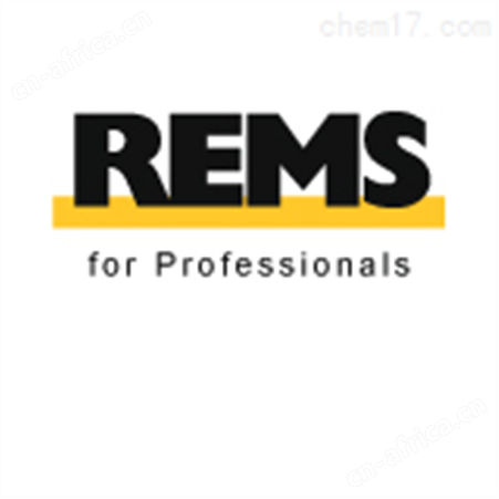 rems中国区代理rems品牌rems型号