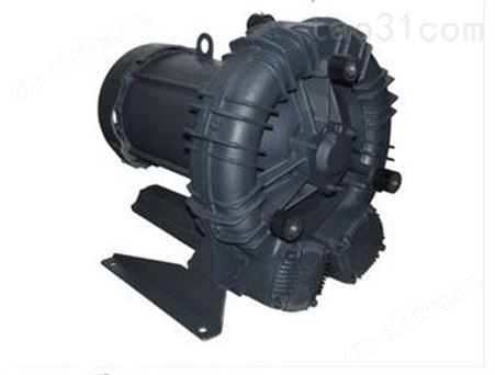 FPZ自吸泵、FPZ 电机