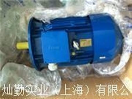 Cantoni交流电机安装说明