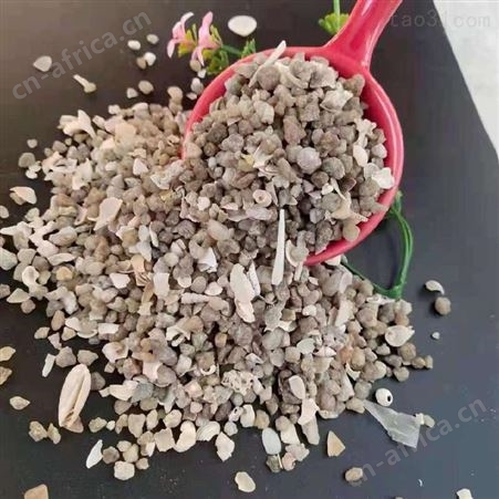 乾富供应贝壳海沙 金黄色大颗粒海沙