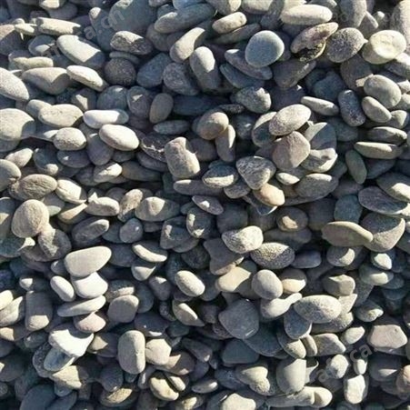 乾富厂家供应鹅卵石 河卵石 园林铺路鹅卵石