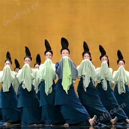 古典舞蹈诗剧只此青绿舞蹈服练习广袖表演服水袖上衣舞蹈服演出服