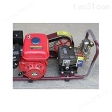 汇鑫FST-30D式动力喷雾机 果树园林喷药机 农用打药器