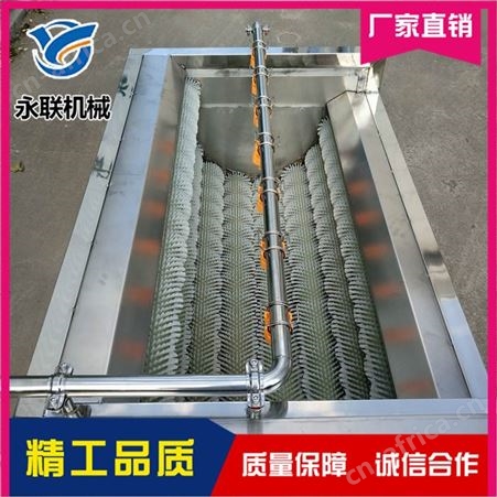 天冬去皮清洗机 毛辊式泡参清洗机 辊刷式去皮清洗机
