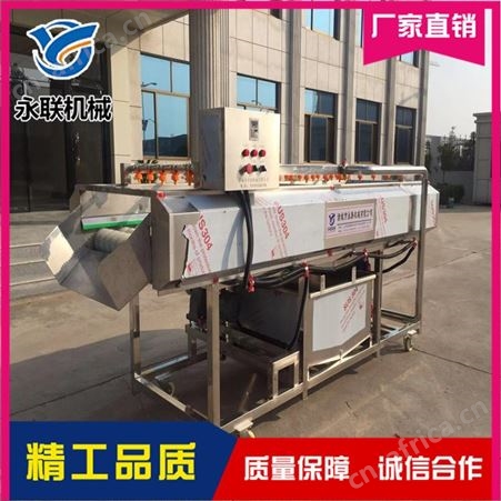 直供椰子表面去泥清洗机 椰子喷淋清洗机 椰子清洗加工成套设备