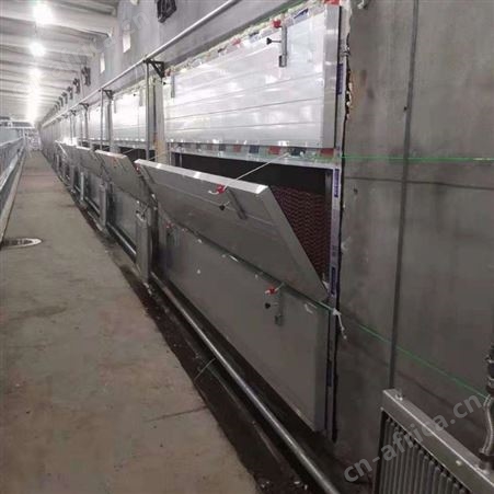 定做旧鸡棚改造导流板 迅为温控 鸡舍水帘保温导风板 纳米防腐板