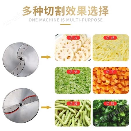 杏鲍菇切片机 小型胡萝卜切丁设备 土豆切丝机 多功能切菜机
