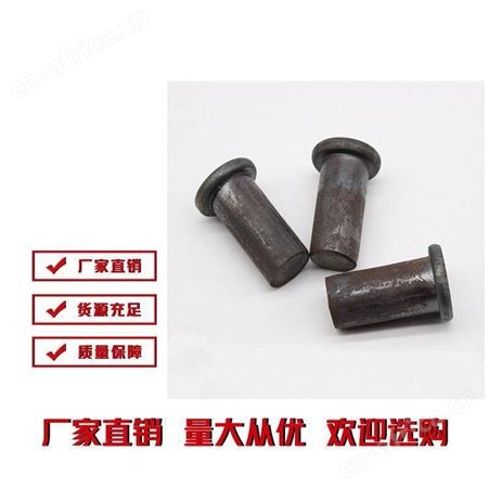 销轴铆钉厂家 雄杰紧固件 支持定制 精选 批发