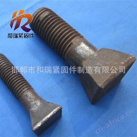 斗型螺栓 高质量斗头螺丝 M12-M24方头 斗头栓 规格齐全 欢迎咨询