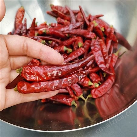 重庆火锅底料辣椒 石柱红5号辣椒批发厂家-优友供应链