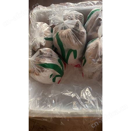 新鲜黑棕鹅现 冷冻光鹅 批发老鹅鹅头 黑棕鹅 鲜鹅皇