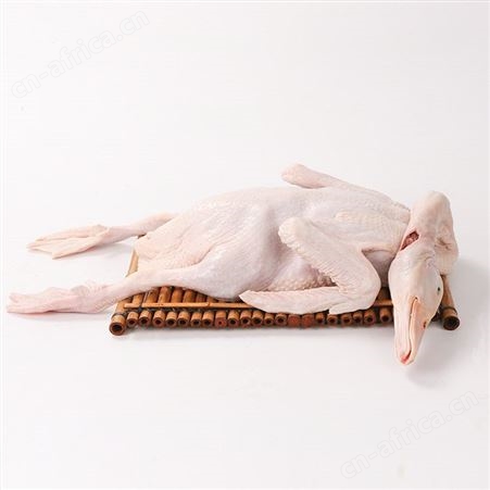 冰鲜白条鸭批发厂家