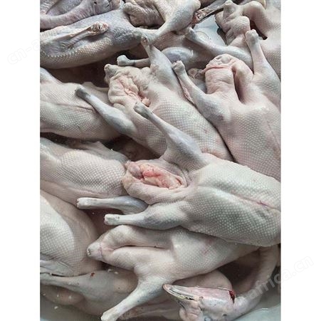 净膛鹅 新鲜黑棕鹅现 卤鹅翅食材 冷冻黑棕鹅批发 鲜鹅皇