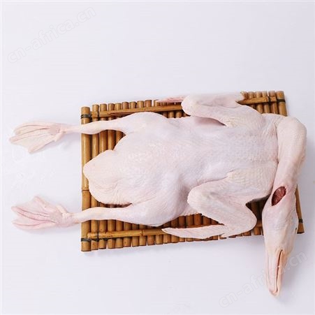 广东水养白鸭光鸭烤鸭专用