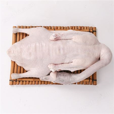 掏膛黑棕鹅厂家