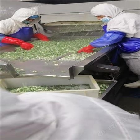 优质香葱圈散装 餐厅火锅店用调料葱段 速冻果蔬食品加工 绿拓食品