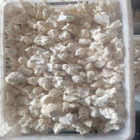 绿拓食品供应速冻白菜花西蓝花 饭店餐饮配菜常用