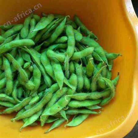 日照绿拓食品-优质速冻毛豆批发-厂家现货供应