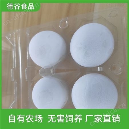 鲜鸡蛋礼盒_德谷食品_小儿鲜鸡蛋_中秋礼品盒