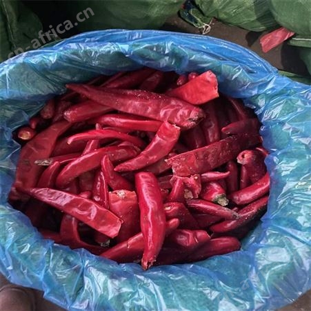 绿拓食品营养丰富甜椒圆椒柿子椒 成品切丝菜椒炒菜即用