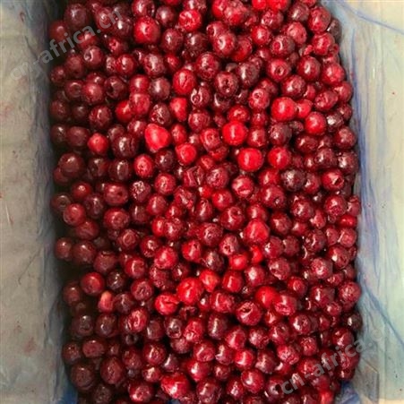 冷冻波兰酸樱桃 商用烘焙榨汁速冻樱桃 10kg/箱烘焙水果果肉果粒
