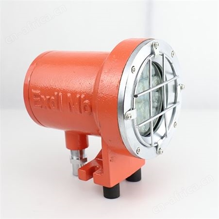 DGY18/48LX(A)矿用隔爆型LED机车照明信号灯