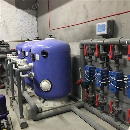 恒温泳池水消毒设备 铜银离子消毒器 温泉水杀菌设备