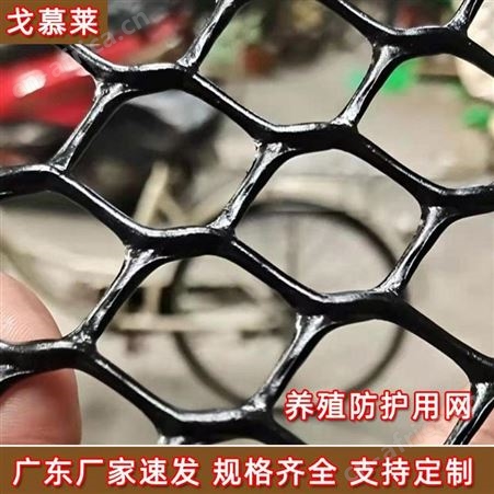 四川养鸡塑料平网生产厂家直供养宠物加厚塑料网 PE加厚防护网 戈慕莱