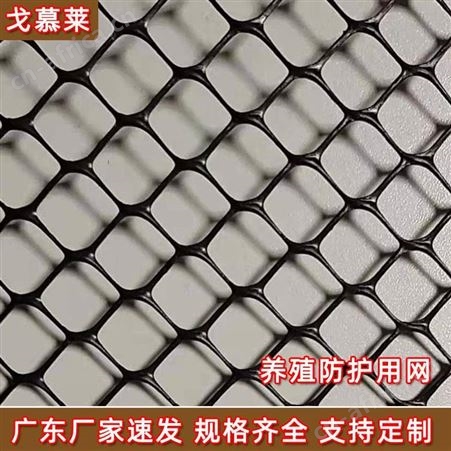 四川养鸡塑料平网生产厂家直供养宠物加厚塑料网 PE加厚防护网 戈慕莱