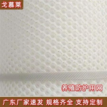 四川养鸡塑料平网生产厂家直供养宠物加厚塑料网 PE加厚防护网 戈慕莱