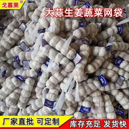 厂家直批塑料网袋1斤装紫色大蒜网兜PE无结包装袋干果蔬小袋子戈慕莱