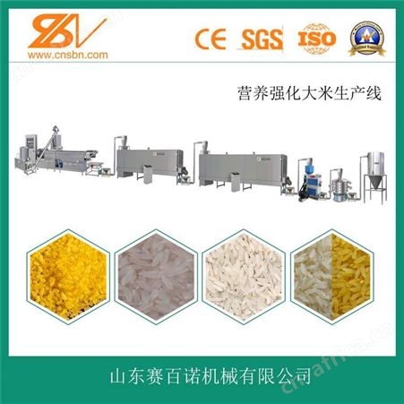 SLG70双螺杆速食米设备生产线 山东赛百诺 冲泡大米生产设备
