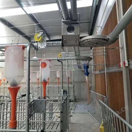 养殖自动化料线料养猪用料塔赛盘料线养猪场设备绞龙料线厂家