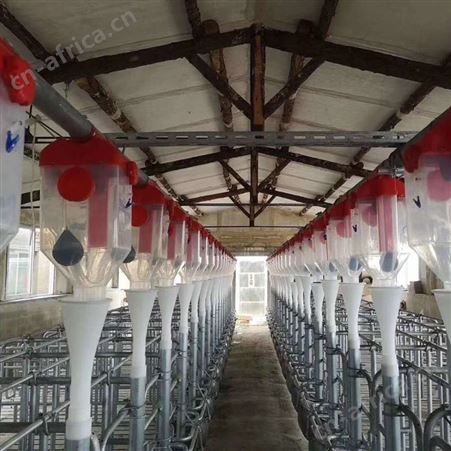 不锈钢自动双面料槽小猪不锈钢猪料槽猪用食槽保育猪料槽自动采食
