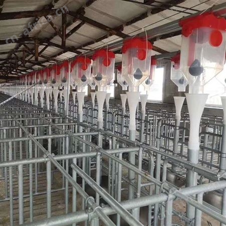 不锈钢自动双面料槽小猪不锈钢猪料槽猪用食槽保育猪料槽自动采食
