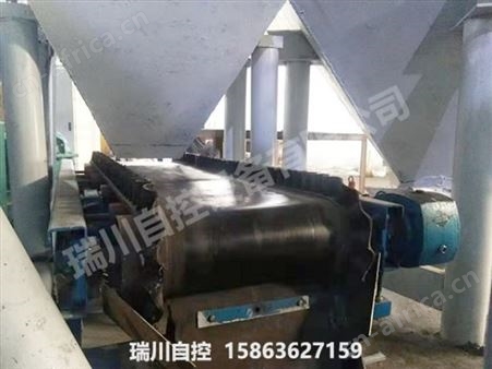 电力皮带秤 发电厂专用 皮带输送机 耐高温 瑞川自控 实体工厂