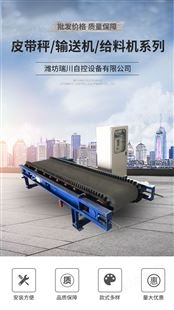 电力皮带秤 发电厂专用 皮带输送机 耐高温 瑞川自控 实体工厂