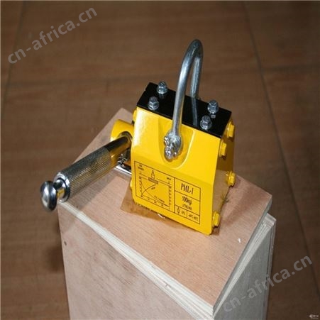 淮安吨位显示仪HELMPTM-1