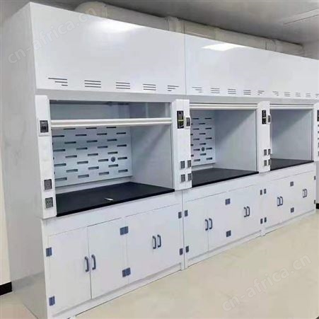 白龙马 全钢通风柜耐酸碱腐蚀实验室通风橱可上门安装 源头工厂