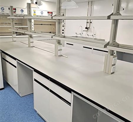 白龙马 钢木实验边台台 理化桌 实验室家具 工厂定制
