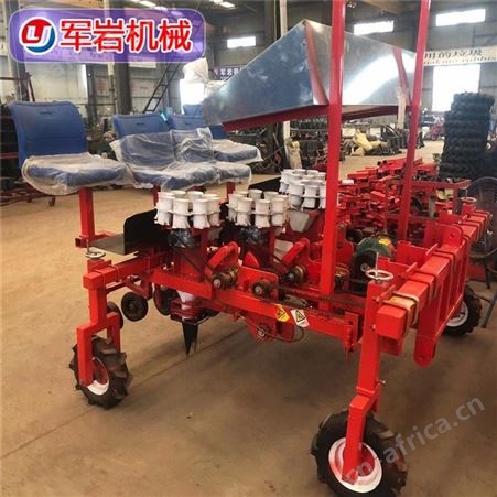 西红柿移栽机 蔬菜移栽机 辣椒移栽机 批发定制 上门安装调试
