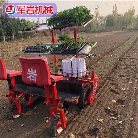 大棚自走式辣椒移栽机 甘蓝 蔬菜秧苗移栽机 生产厂家倾力