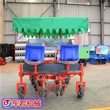 娃娃菜种植机 辣椒栽苗机 辣椒蔬菜移栽机 2020新款爆款产品