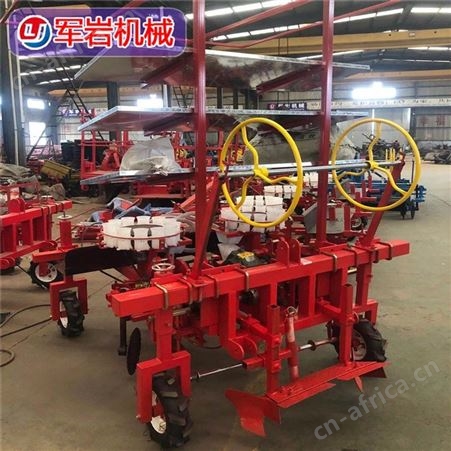 西红柿移栽机 蔬菜移栽机 辣椒移栽机 批发定制 上门安装调试