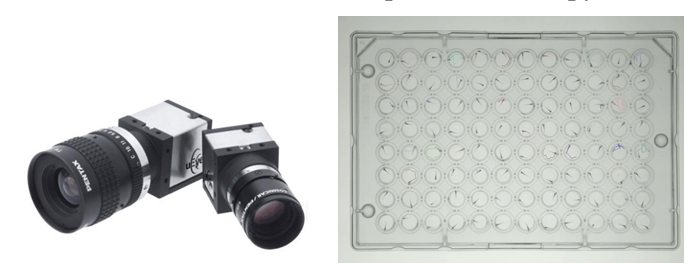 image.png image.png