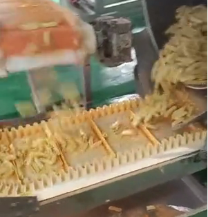 食品加工输送带