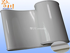 两边加导条食品输送带