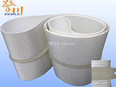 透明加导条食品输送带