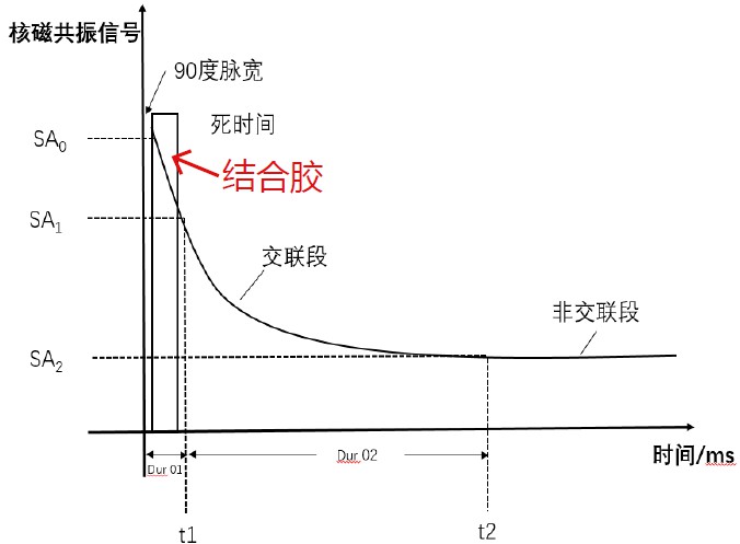 结合胶含量测试-低场核磁技术